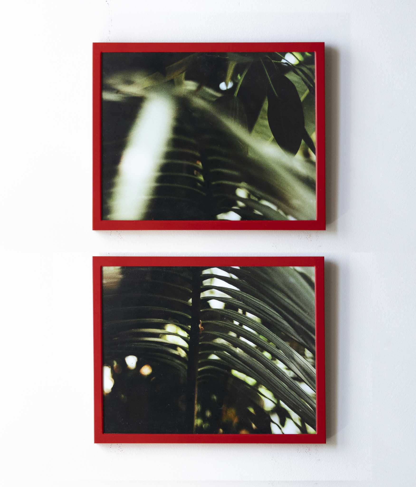 Evi van der Kant, Hamburg fotograf, Street fotografie, Analoge fotografie